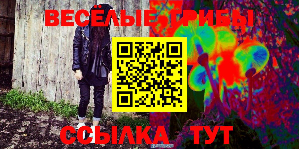 Псилоцибиновые грибы MAGIC MUSHROOMS Грозный