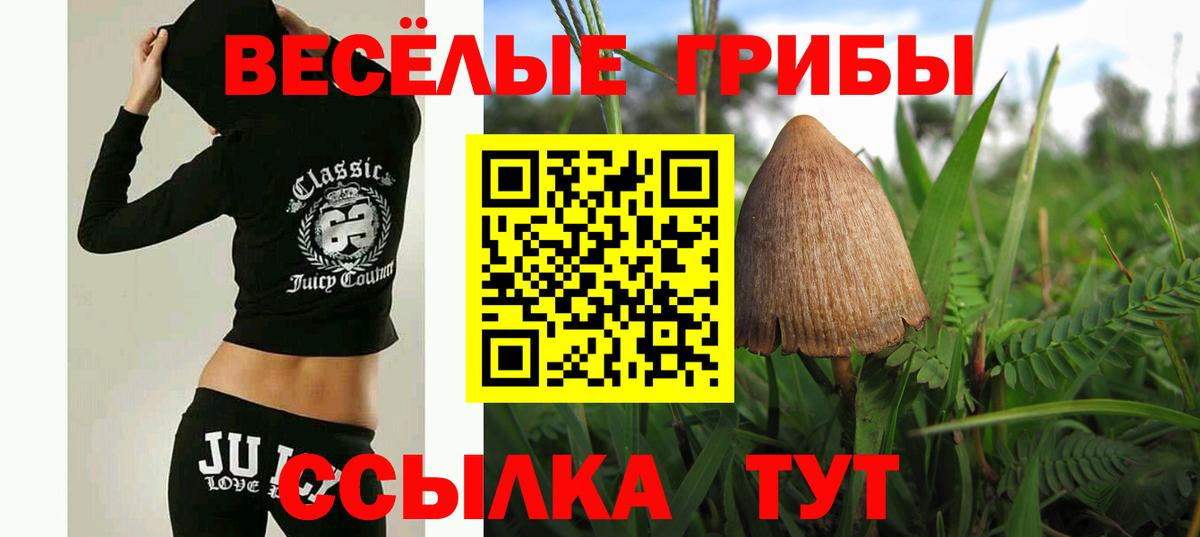 купить наркоту  Галлюциногенные грибы GOLDEN TEACHER  Вход с VPN  Грозный 